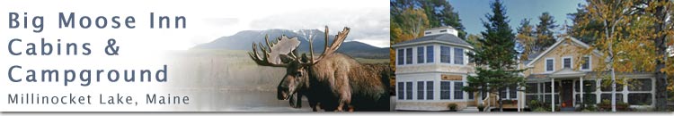 Big Moose Inn Cabins and Campground